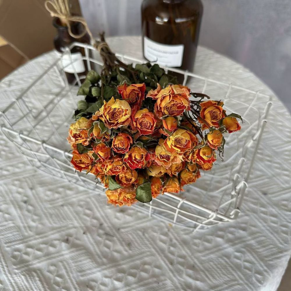 Real Preserved Roses Dried Flo - Resin Art Rose ulasan dan harga