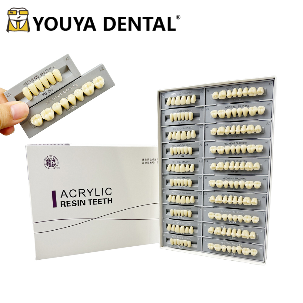 140pcs/box Dental Teaching Mod - Resin Art Case ulasan dan harga