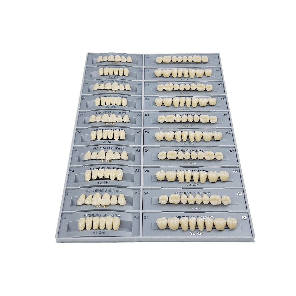 140pcs/box Dental Teaching Mod - Resin Art Case ulasan dan harga