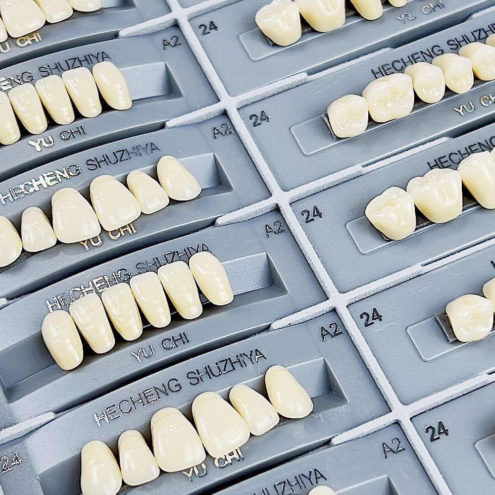 140pcs/box Dental Teaching Mod - Resin Art Case ulasan dan harga